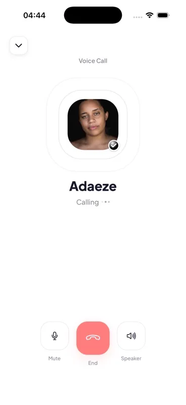 Video call